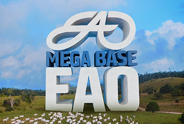 LEILÃO MEGA BASE EAO - BEZERRAS PC